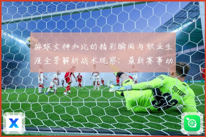 排球女神加比的精彩瞬间与职业生涯全景解析战术观察：最新赛事动态与深度分析